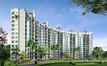 我们的设计作品展示之五